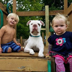 Meet your Posher, Jarred